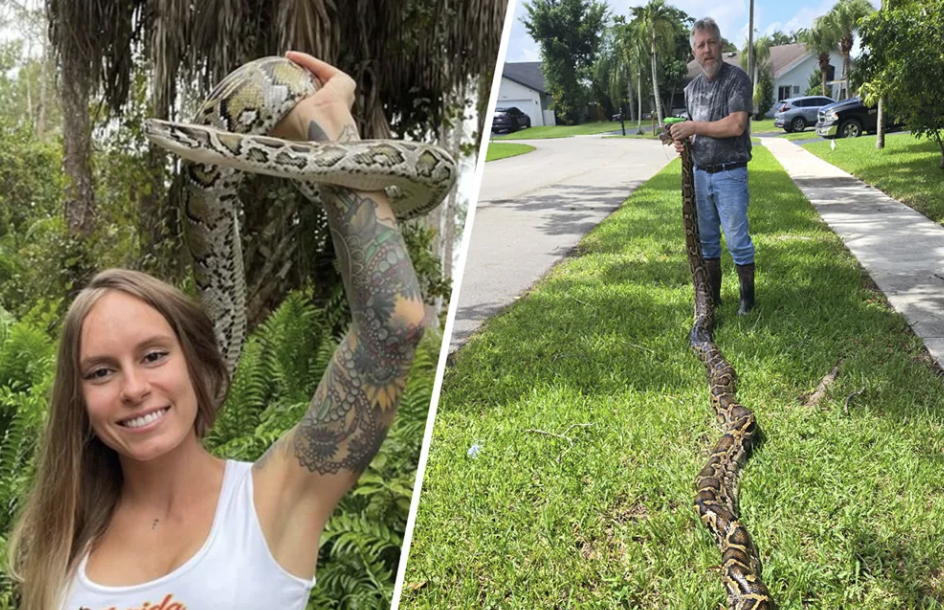 Record-Breaking Florida Python Challenge 2025